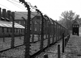 Лекция  на тему «Нацистский геноцид советского народа: замысел, реализация, провал»