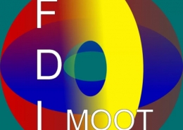 Презентация FDI Moot