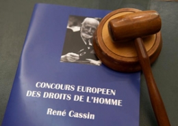 Конкурс по праву ЕСПЧ имени Рене Кассена: набор в команду