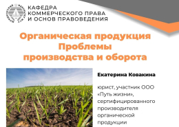 Заседание дискуссионного клуба НСО кафедры коммерческого права и основ правоведения