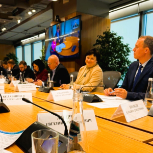 Заседание общественного совета при Минэкономразвития России  16 октября 2025 г.   