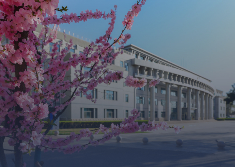 Курс лекций в Университете международных отношений (Пекин, КНР) 